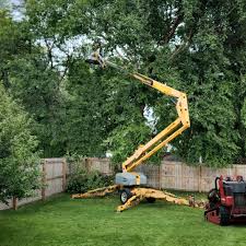 How Our Tree Care Process Works  in  Saw Creek, PA